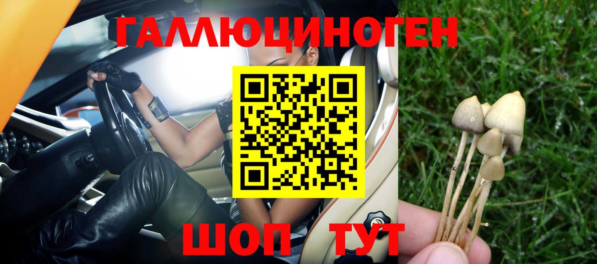 Галлюциногенные грибы прущие грибы  Галлюциногенные грибы мицелий  Краснокаменск  Вход с VPN 
